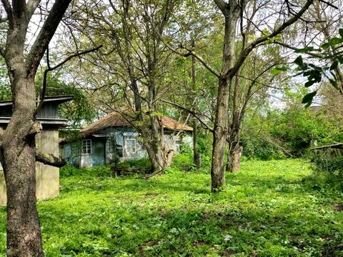 будинок за адресою с. Мала Стариця, Мічуріна