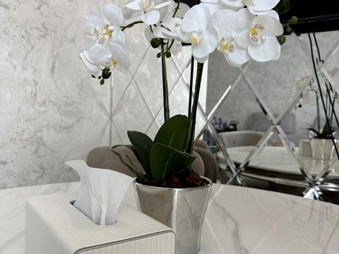 квартира за адресою Андрія Гулого-Гуленка вул. (Віце-адмірала Азарова), 8а