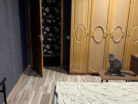 квартира по адресу Свободы просп., 74