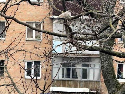 квартира по адресу капитана Владимира Киселёва ул. (Зыгина), 29