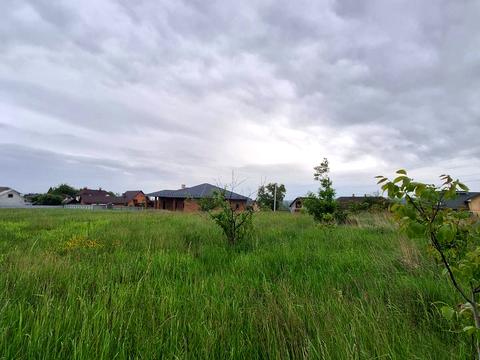 ділянка за адресою Кіцмань, Новицького, 5
