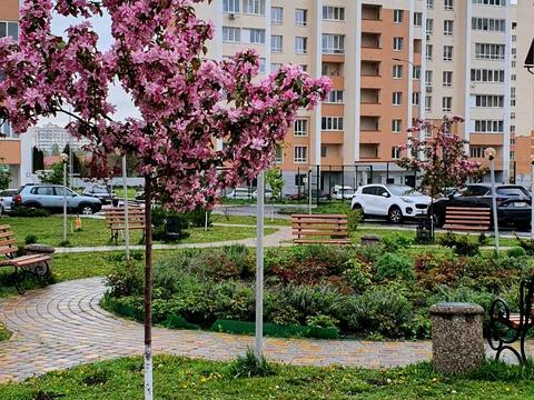 квартира за адресою Чубинського вул., 8-Б