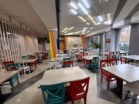 комерційна за адресою Велика Васильківська вул. (Червоноармійська), 30 Д