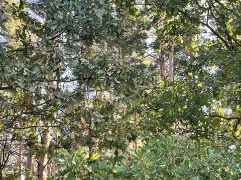 дом по адресу Л.Українки, 14