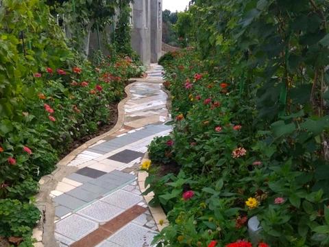 будинок за адресою Чорноморськ (Іллічівськ), 1 линия