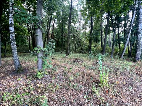 ділянка за адресою Набережна