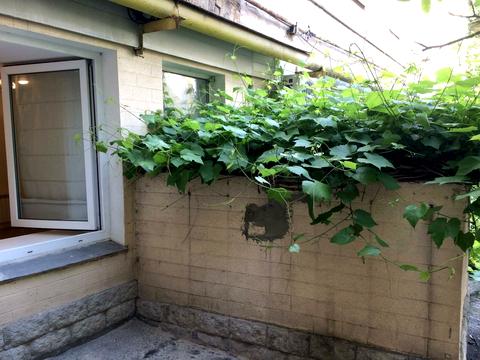 квартира по адресу Гетмана Павла Скоропадского ул. (Льва Толстого), 8-А