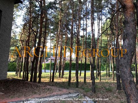 будинок за адресою Лісова вул., 559