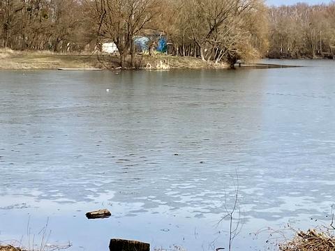 ділянка за адресою смт. Шарівка, Набережна
