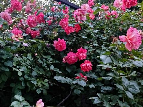 будинок за адресою Євпаторійська вул.