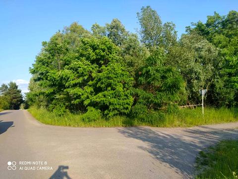 ділянка за адресою с. Віта-поштова, 