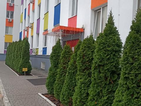 квартира за адресою Шевченківський пров., 32
