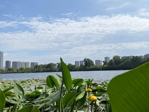 квартира по адресу Причальная ул., 10