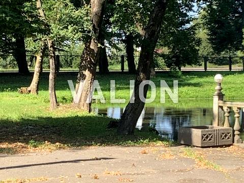 участок по адресу с. Оршевцы, Незалежності, 126