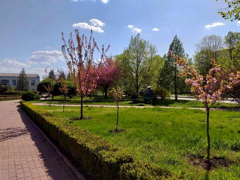 квартира по адресу Виставкова ул. (Полковника Потехина), 5