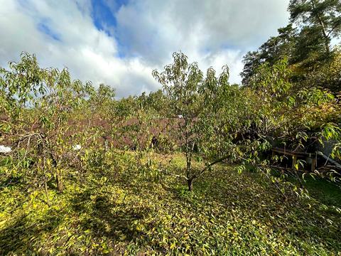 будинок за адресою Кичеївська