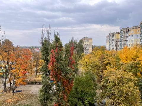 квартира по адресу Янтарная ул., 79
