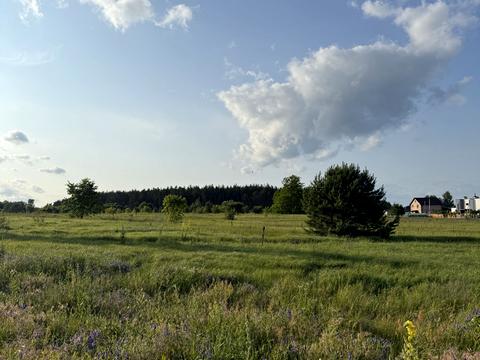 ділянка за адресою Молодіжна