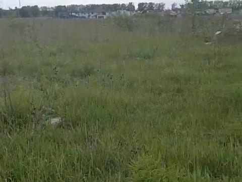 участок по адресу Благовестная ул.