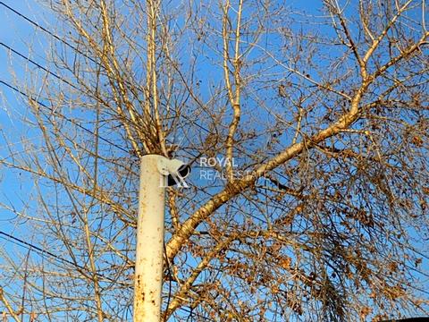 комерційна за адресою Центральна вул., 50