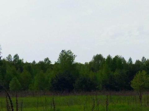 участок по адресу Андріївська, 9