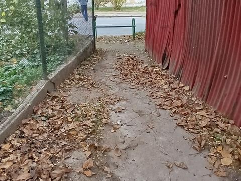 комерційна за адресою Свободи просп., 1