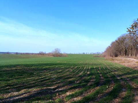 ділянка за адресою Хмельницьке шосе