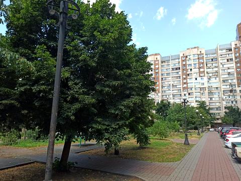 квартира по адресу Владимира Ивасюка просп. (Героїв Сталінграду), 20-А