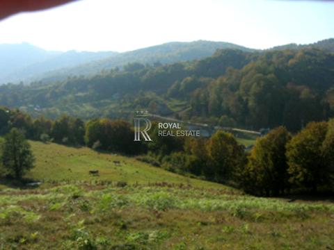 будинок за адресою Тячів, Голлоші вул.