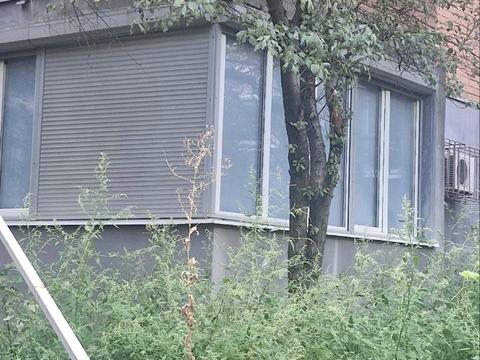комерційна за адресою Володимира Вернадського вул. (Дзержинського), 35