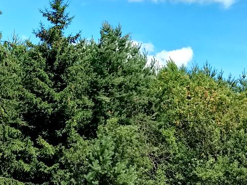дом по адресу Михаила Грушевского ул.