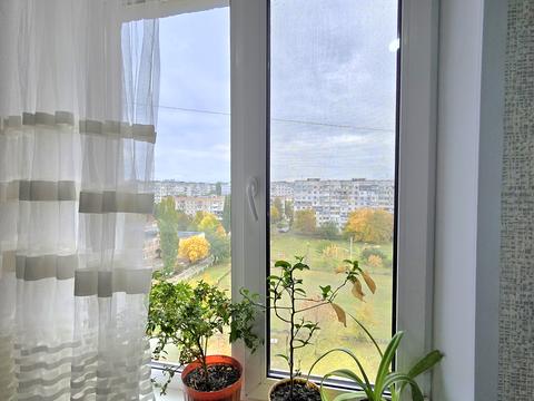 квартира по адресу Независимости ул. (Космонавта Попова), 23 
