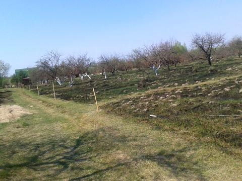 ділянка за адресою Солнечная