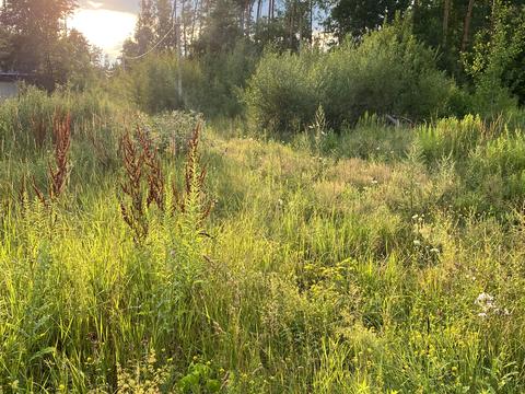 участок по адресу Любава СТ