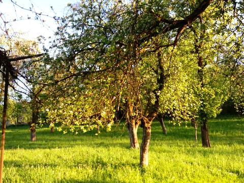 будинок за адресою Гагаріна, 21