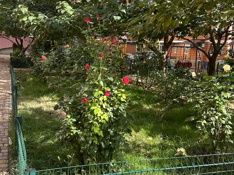 квартира за адресою Проценка вул., 50/1