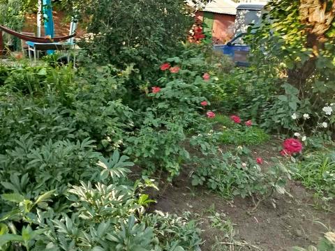 квартира по адресу Тарасовский пер., 33