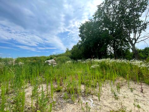 участок по адресу 