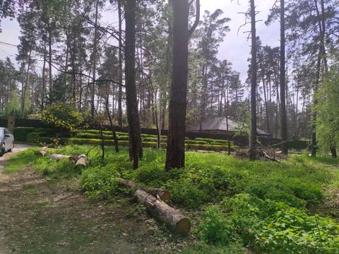 участок по адресу Лісова