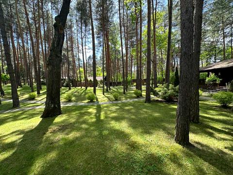 ділянка за адресою Лісова вул., 34