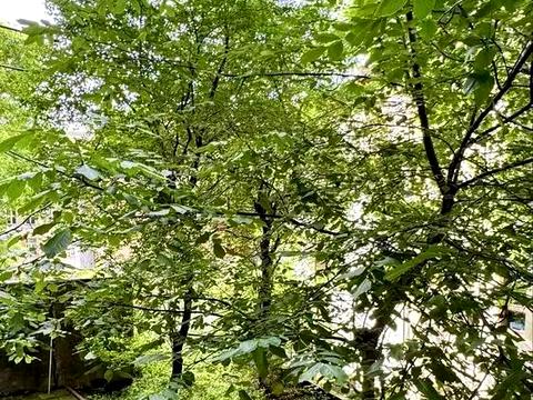 квартира по адресу Тарнавского ул. (Кутузова), 46