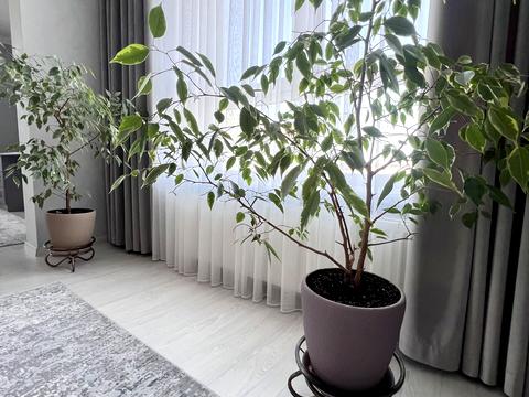квартира по адресу Вячеслава Черновола ул., 3