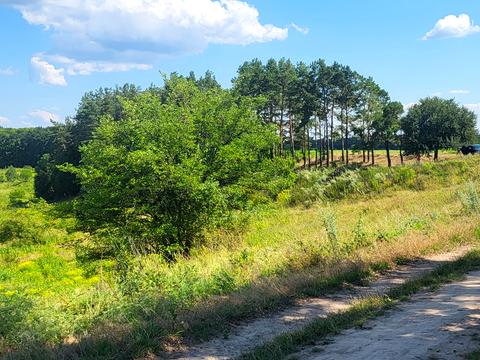 ділянка за адресою Павла Осоченка, 62