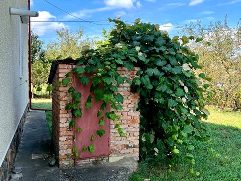 будинок за адресою Пасічна