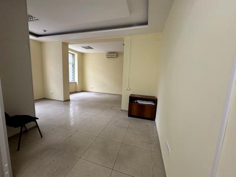 комерційна за адресою Генерала Тараса Чупринки вул. (Пушкіна), 26