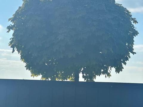 будинок за адресою Миру