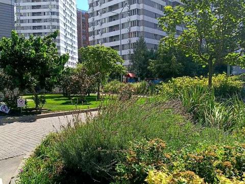 квартира по адресу Люстдорфская дорога ул., 55/2