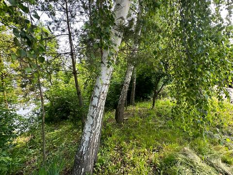 участок по адресу Набережна, 50