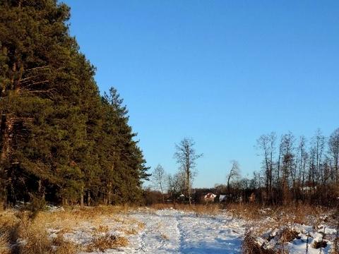 участок по адресу Береговий пров.