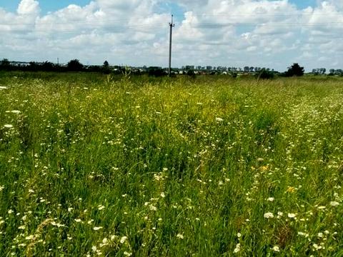 участок по адресу старе село